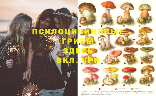 MESCALINE Белокуриха