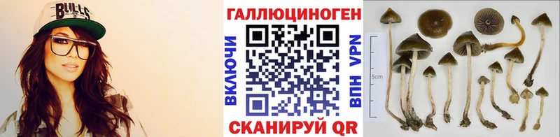 Купить закладки  Анадырь  Псилоцибиновые грибы Psilocybe 